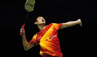 羽毛球陈龙 羽毛球陈龙