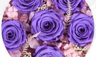 30朵玫瑰花语 30朵玫瑰花语