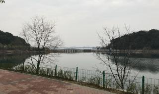 武汉森林公园 武汉森林公园