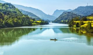 什么春来江水绿如蓝 什么春来江水绿如蓝